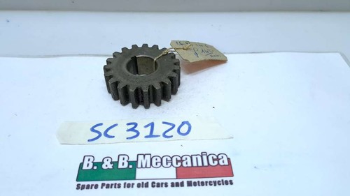 Ingranaggio z19 nuovo albero - ingranaggio,